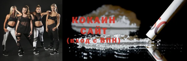 дживик Кинешма