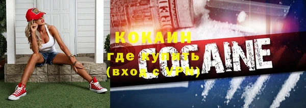 дживик Кинешма