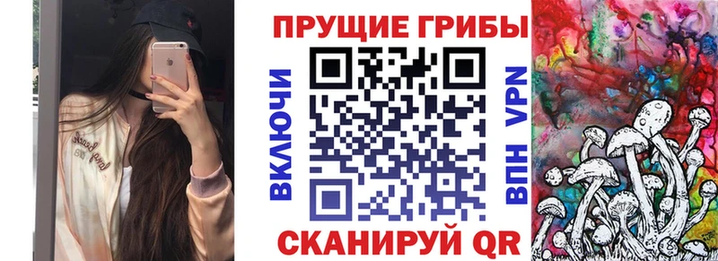 Купить  Вуктыл  Псилоцибиновые грибы Magic Shrooms 